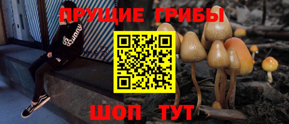 Ступино  Галлюциногенные грибы Magic Shrooms  Вход с VPN  Галлюциногенные грибы GOLDEN TEACHER 
