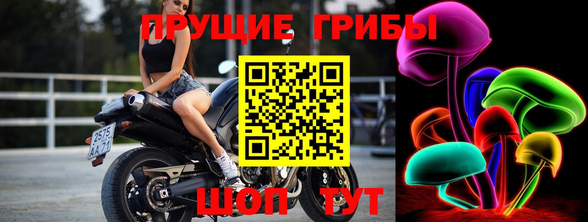Галлюциногенные грибы Psilocybe Ступино