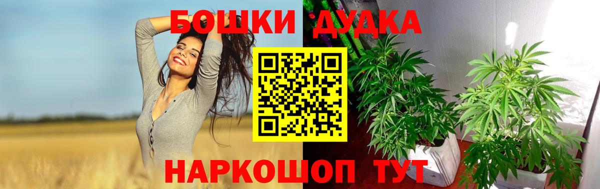 Канабис Amnesia  Бошки Шишки ГИДРОПОН  Вход с VPN  Ступино 